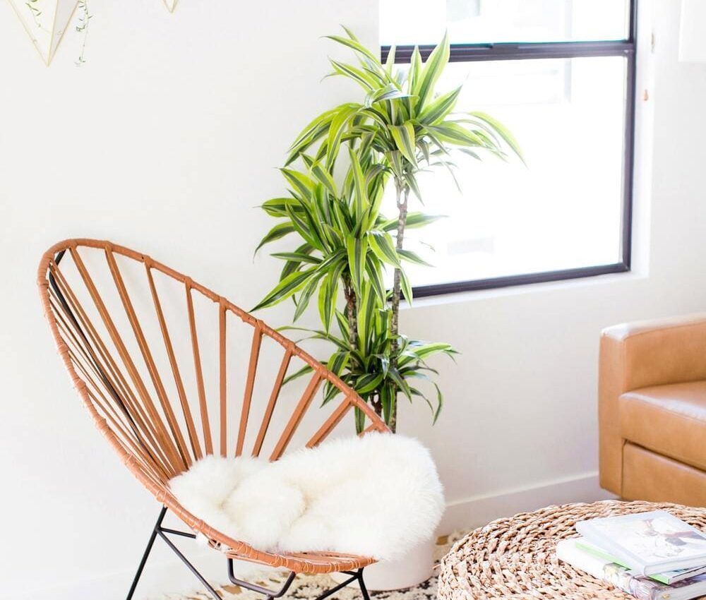 Node Living Los Angeles - Furnished Apartment 1236Q - Living Room-3